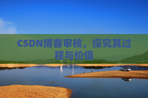 CSDN博客审核,探究其过程与价值